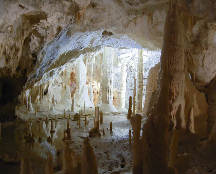 media.Slide-Escursioni-07-Hotel-Olympic-Misano