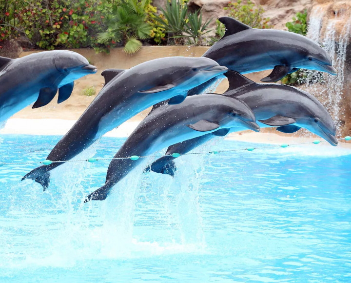 media.Slide-Parchi-07-Hotel-Olympic-Misano